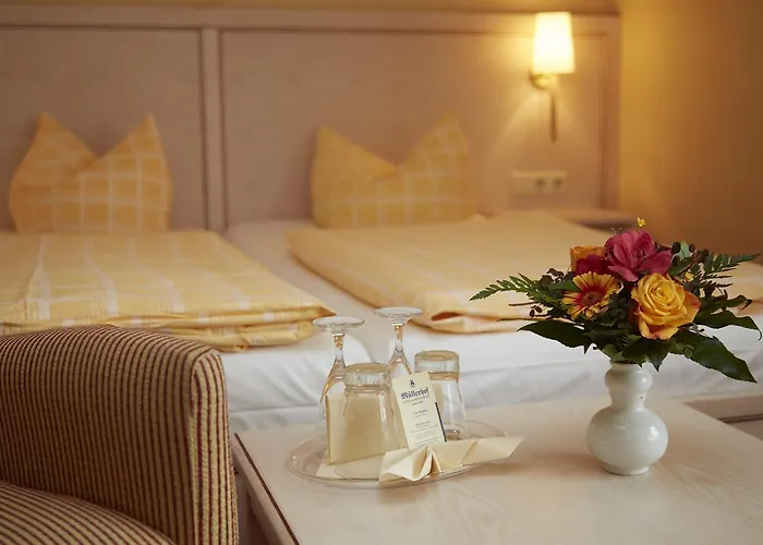 فندق Muellerhof 3*